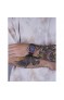 Wainer WA.19043-A