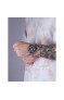 Wainer WA.19043-B