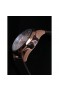 Wainer WA.25687-A