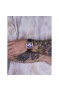Wainer WA.25900-C