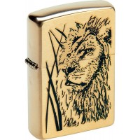 204B Proud Lion