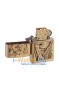 Zippo 204B Proud Lion
