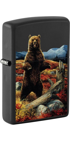 Zippo 48597